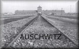 Auschwitz vs. Science