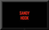 Sandy Hook